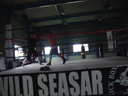 DSC02667.JPG