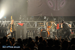 jp09web2.jpg